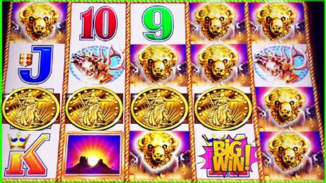 how to win buffalo gold slot machine|All About the Buffalo Slot Machine Series – Know .